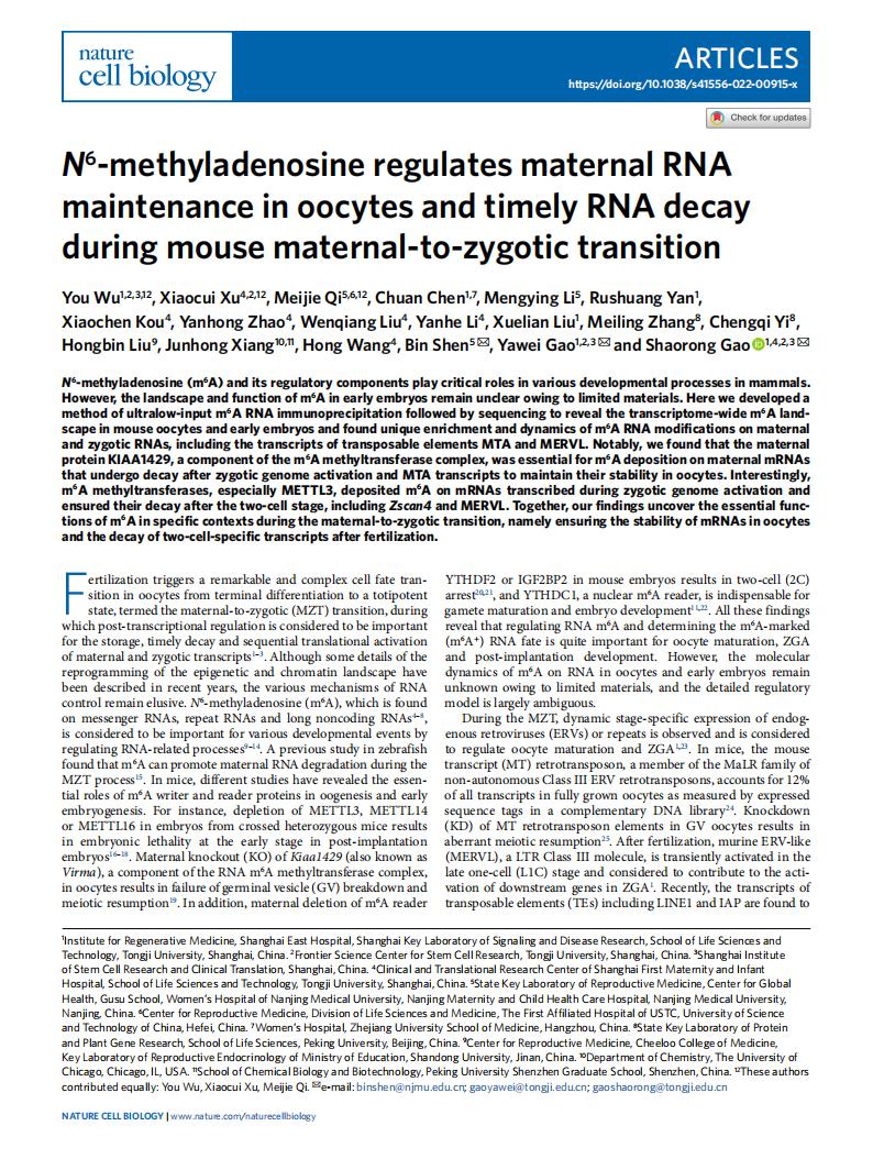 2022年5月，《NATURE CELL BIOLOGY》在线发表高绍荣、高亚威团队揭示小鼠早期胚胎母源-合子转变过程中RNA m6A修饰动态变化与作用机制的研究成果_00.jpg