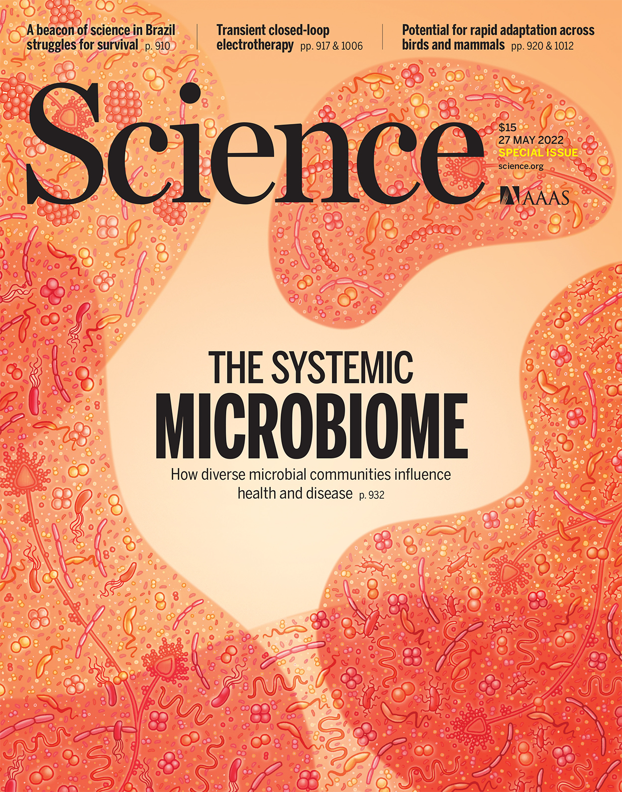 高绍荣science.2022.376.issue-6596.largecover.jpg