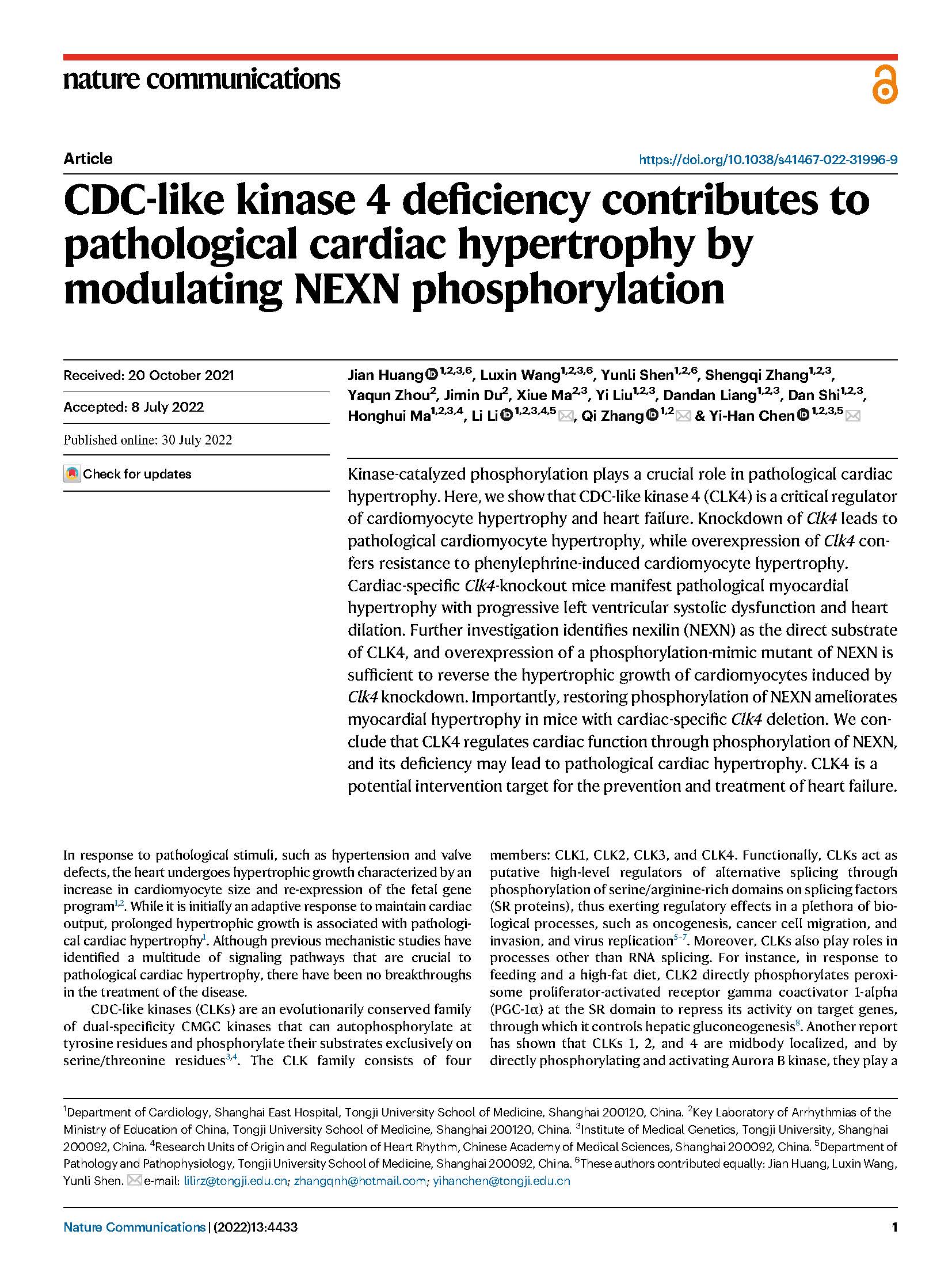 NC-陈义汉-CDC-like kinase 4 deficodulating NEXN phosphorylation 1.jpg