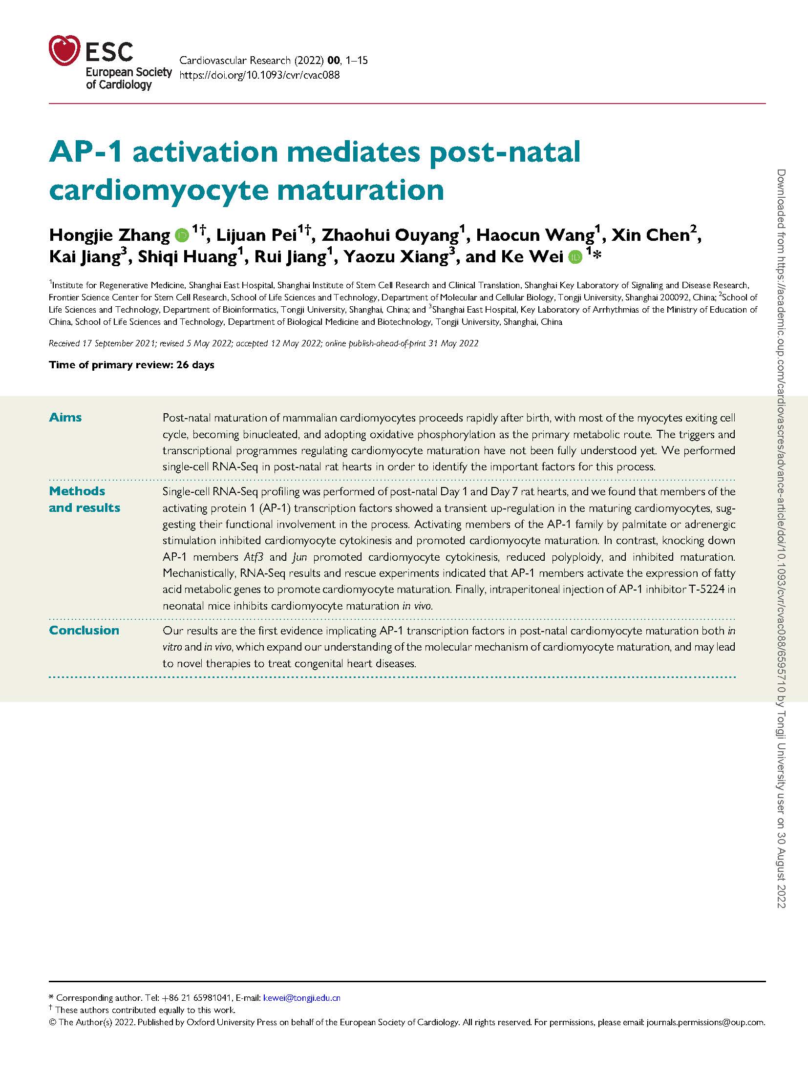 ESC-魏珂-AP-1 activation mediates post-natal cardiomyocyte maturation_页面_01.jpg