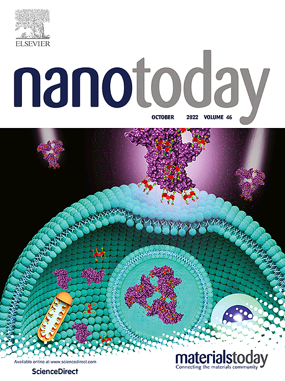 nanotoday.jpg