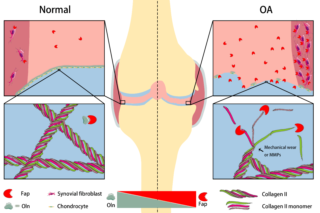 16727265051450.png 图片2.png