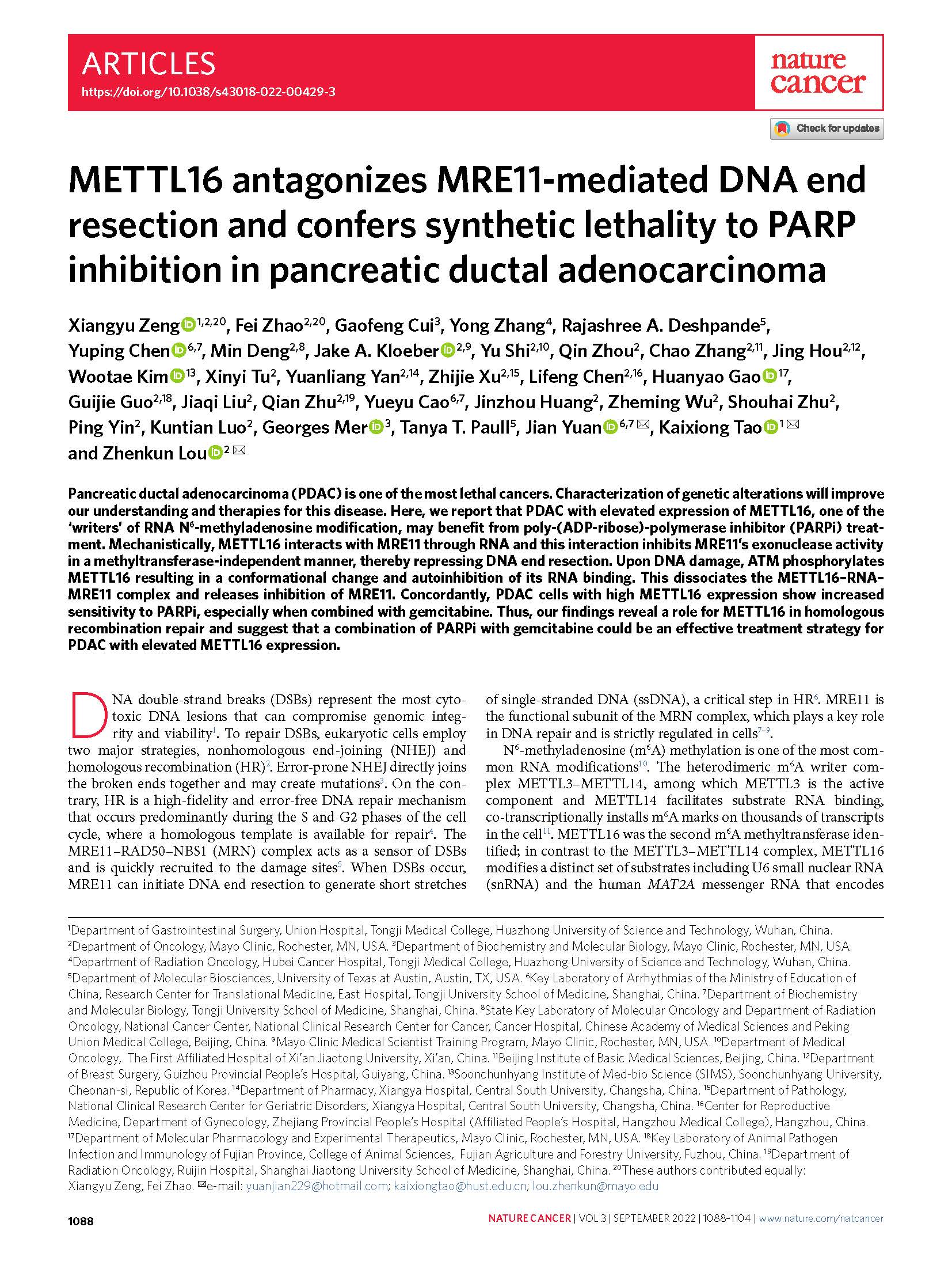 METTL16 antagonizes MRE11-medincreatic ductal adenocarcinoma 1.jpg