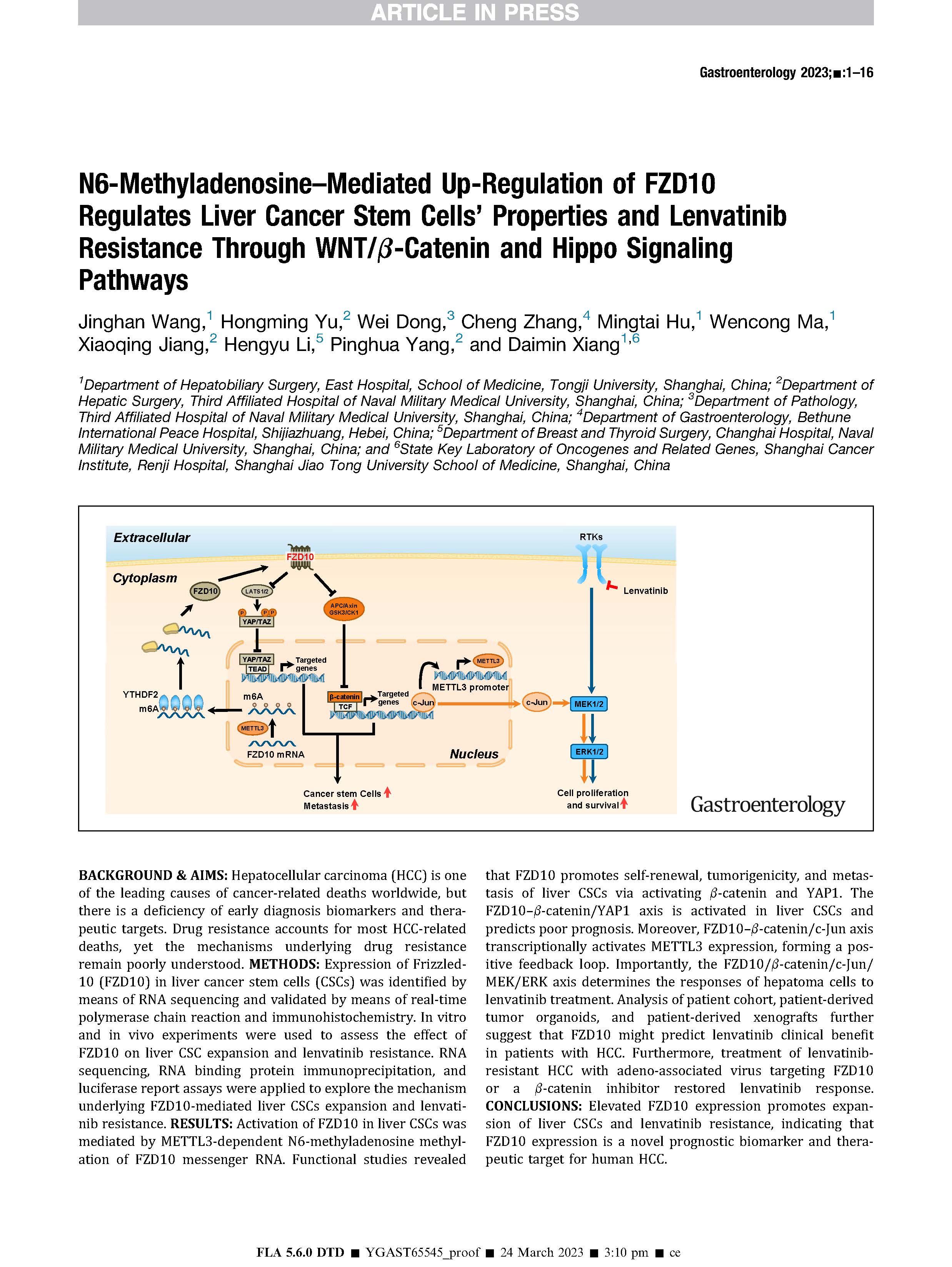 王敬晗-Gastroenterology-N6-Methyladenosine–Mediated Up-Regulation of FZD10_页面_01.jpg