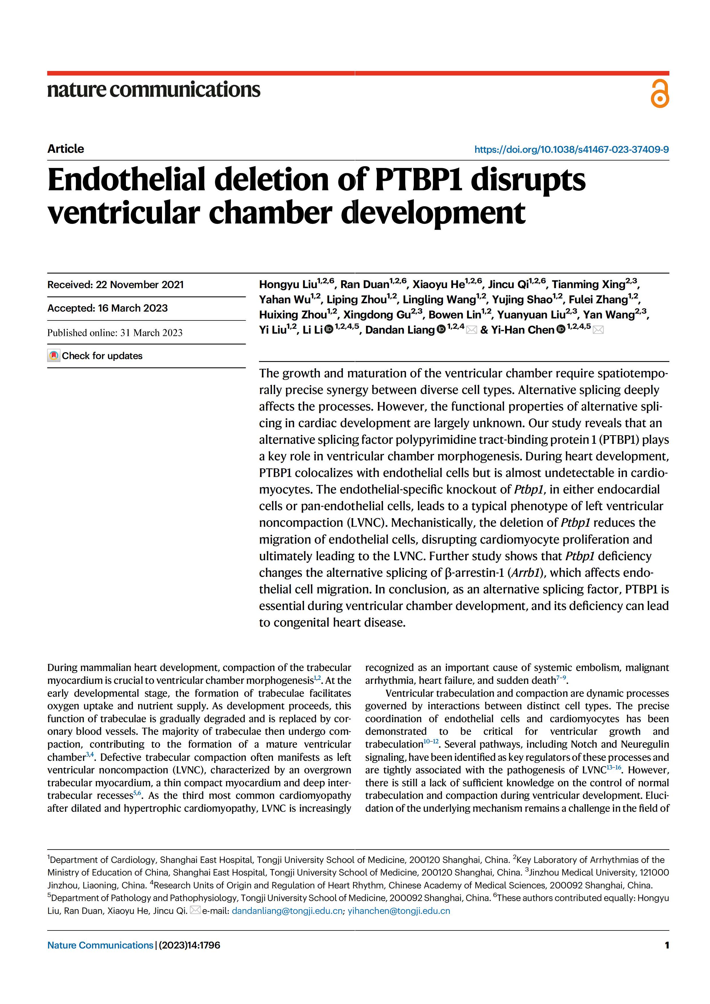 陈义汉-NC-Endothelial deletion of PTBP1 disrupts ventricular chamber development-1.jpg