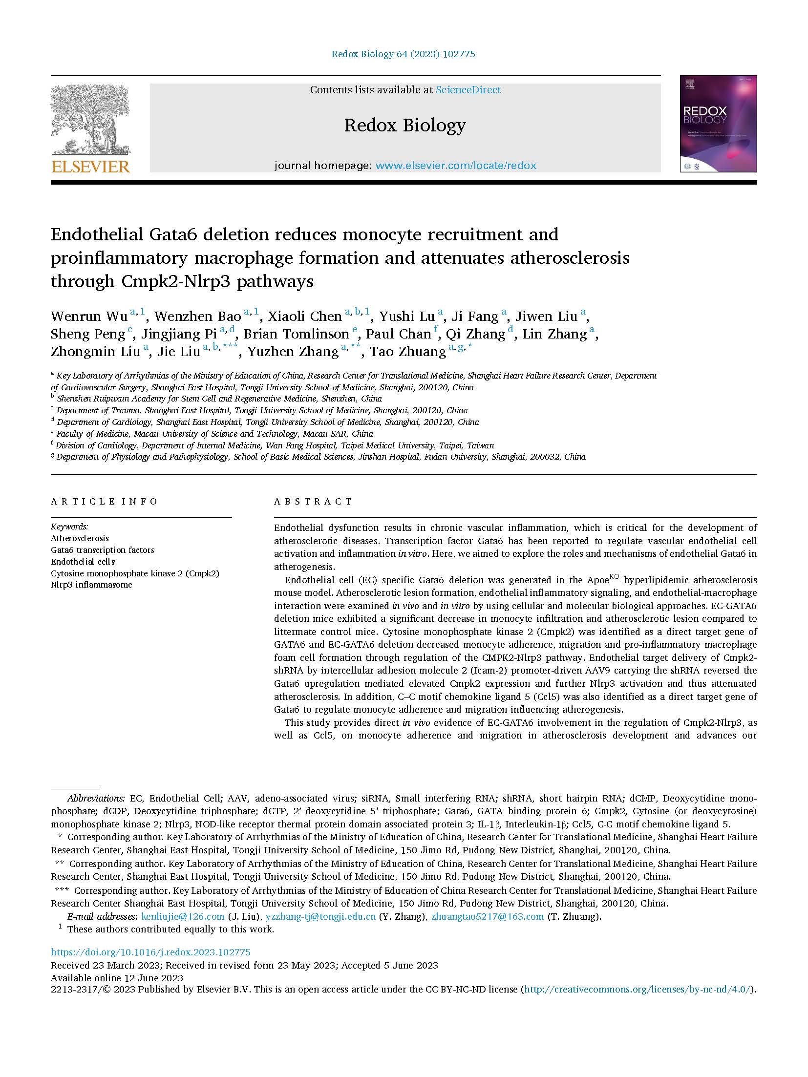 Endothelial Gata6 deletion reduces monocyte recruitment and_页面_01.jpg