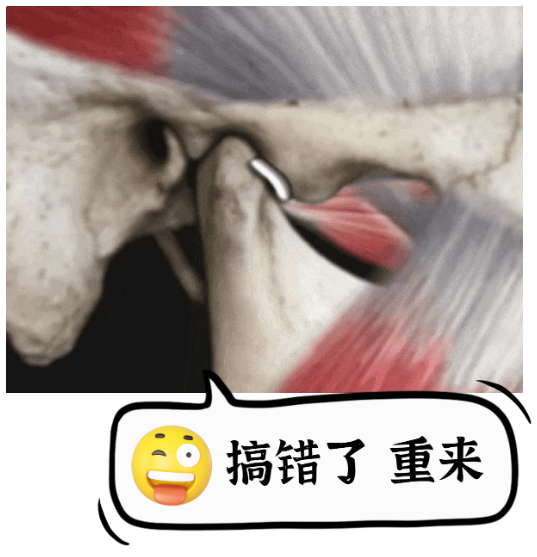 微信图片_20231127091208.png