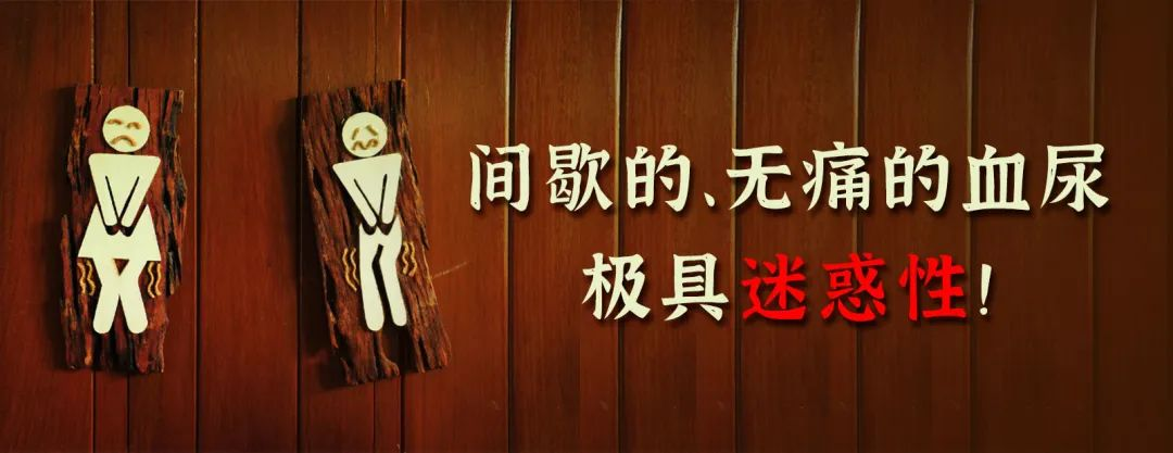 图片14.png