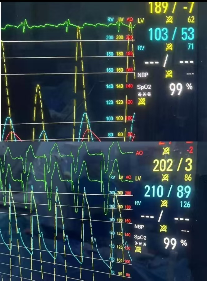 17516174331996.jpg 2.jpg