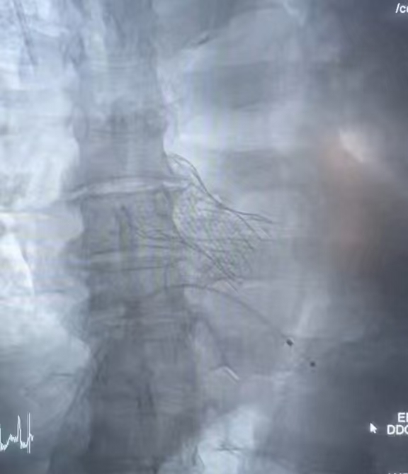 17516174561624.jpg 3.jpg