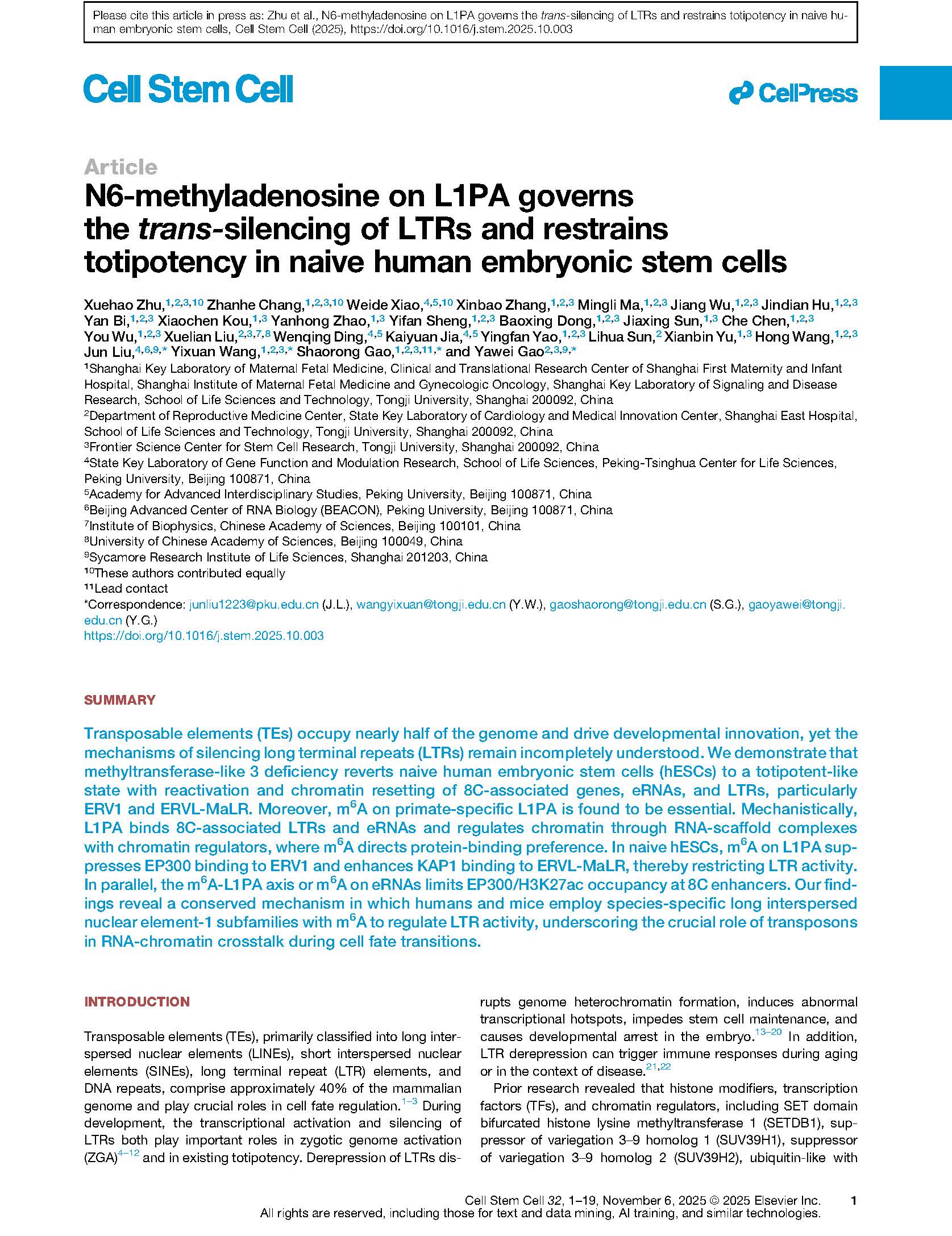 N6-methyladenosine on L1PA governs the trans-silencing of LTRs and restrains totipotency in naive human embryonic stem cells_页面_02.jpg
